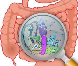consumentengids nieuws over gezond microbioom