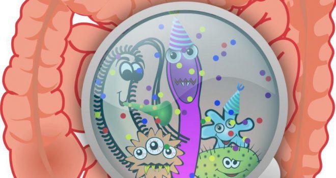 consumentengids nieuws over gezond microbioom De consumentengids over een gezond microbioom