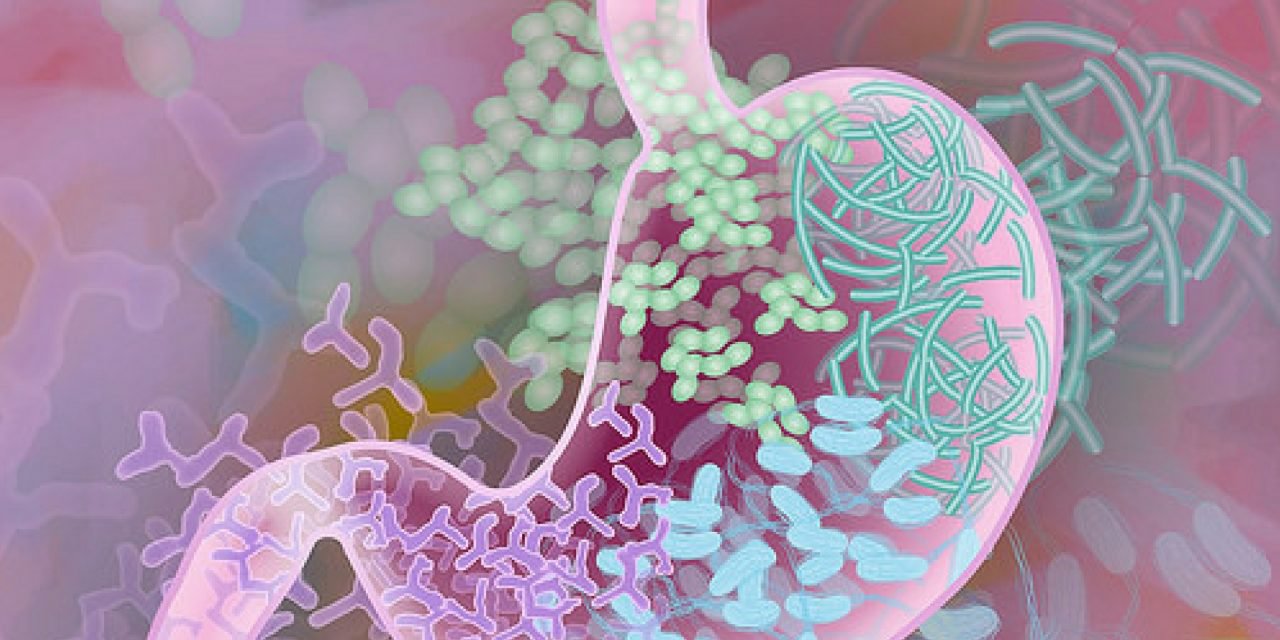Hoe ontstaat het microbioom eigenlijk?