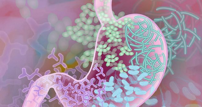 het microbioom Hoe ontstaat het microbioom eigenlijk?
