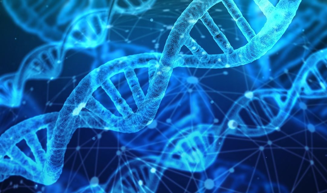 Obesitas genetisch? Het verband tussen obesitas, de hersenen en genetica