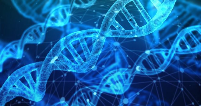 obesitas genetisch Obesitas genetisch? Het verband tussen obesitas, de hersenen en genetica