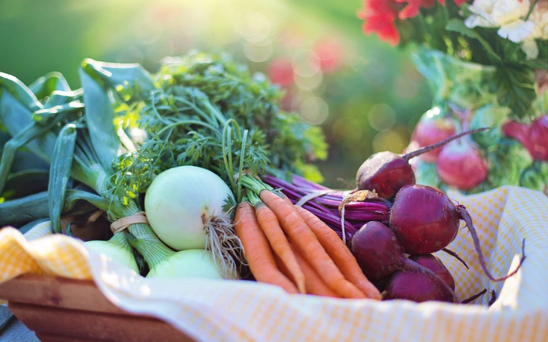 Nederlanders proberen minder vlees te eten