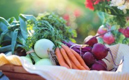 Nederlanders proberen minder vlees te eten