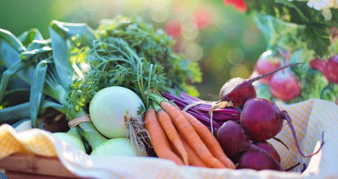 Nederlanders proberen minder vlees te eten Nederlanders proberen minder vlees te eten