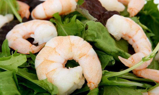 Salade met garnalen en citroen dressing