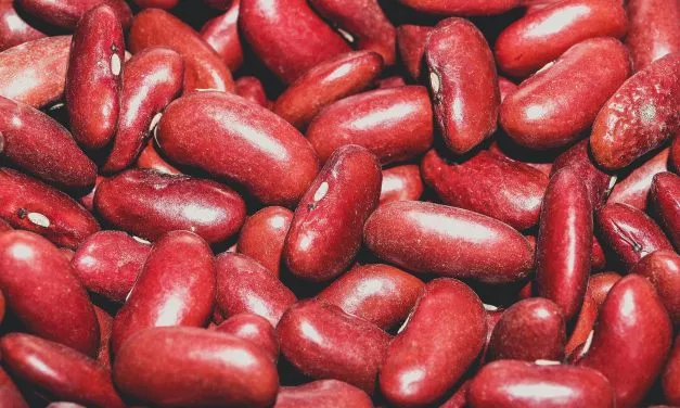 Ovenschotel met zoete aardappel en kidneybonen